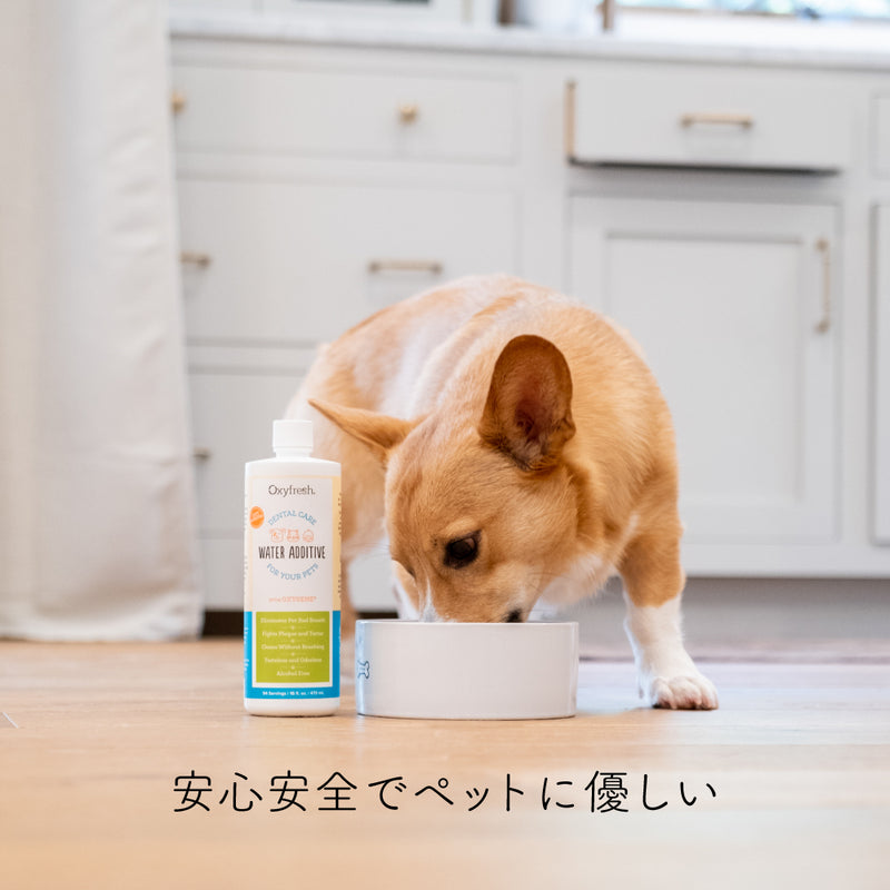 ペット デンタル ウォーター アディティブ  89ml・237ml・473ml・3.8ℓ