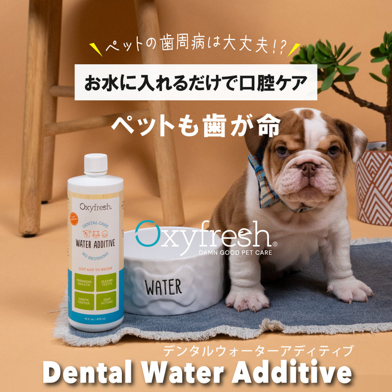 ペット デンタル ウォーター アディティブ  89ml・237ml・473ml・3.8ℓ