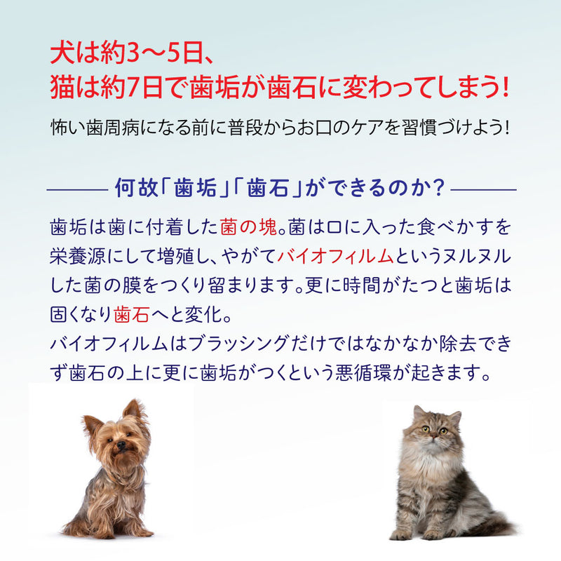 デンタルスプレー 89ml  オキシフレッシュ