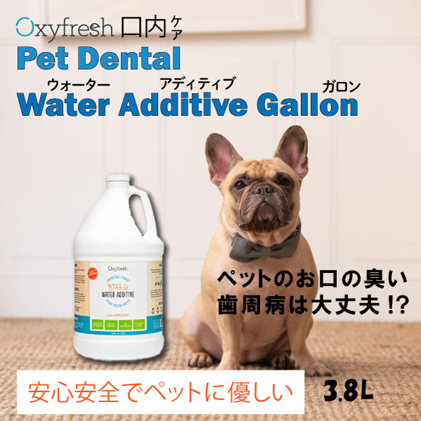 Oxyfresh オキシフレッシュ ペットデンタルウォーターアディティブ 3.8L 犬 猫 口臭 歯 お水に混ぜるだけ デンタルスプレー 89ml Oxyfresh オキシフレッシュ 口臭 犬