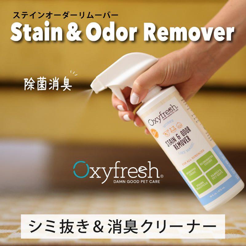 ステイン&オーダーリムーバー  シミ抜き&消臭クリーナー