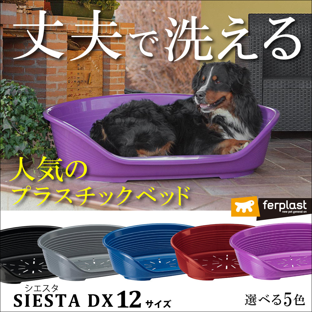 洗える丈夫なベット プラスチック ハウス SIESTA DX 12 シエスタ 送料無料 – ファンタジーワールド [FANTASY WORLD]