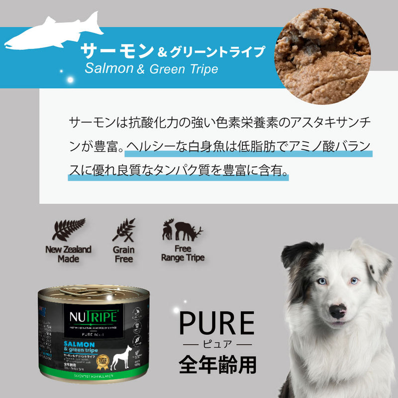 サーモン&グリーントライプ 185g 全年齢用 ドッグフード ピュア