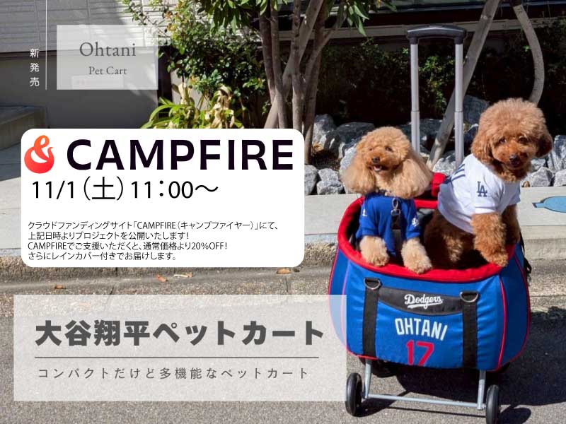 https://camp-fire.jp/projects/881360/view?utm_campaign=cp_po_share_c_msg_mypage_projects_show