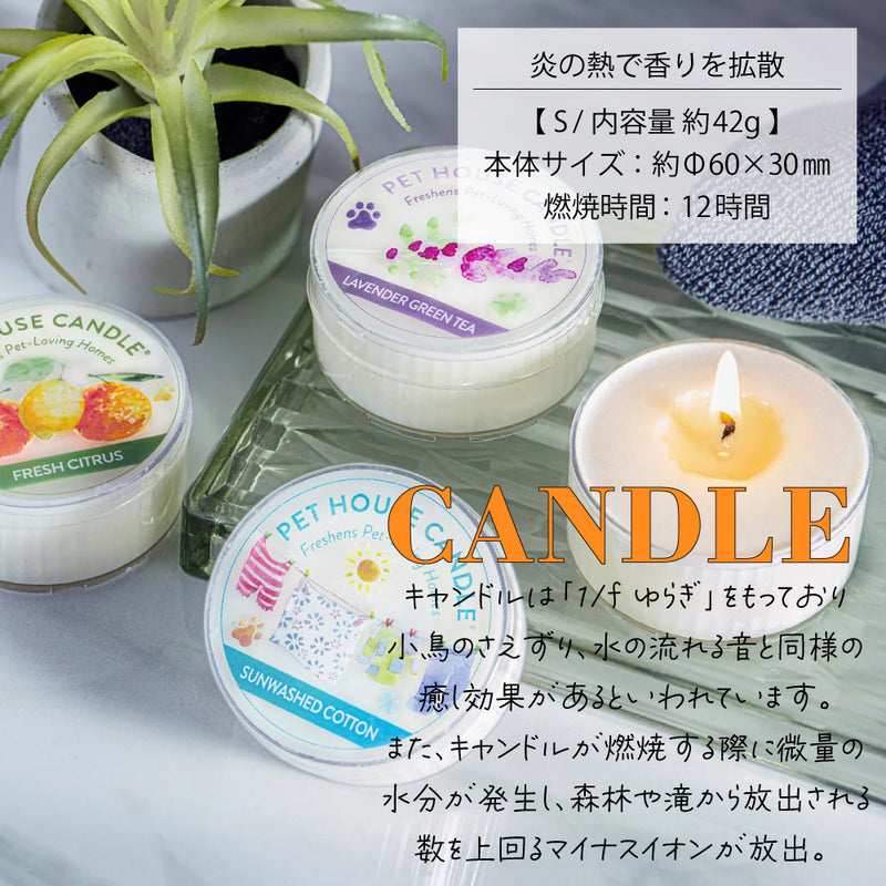 数量限定 セール  キャンドル S ソイワックス 消臭