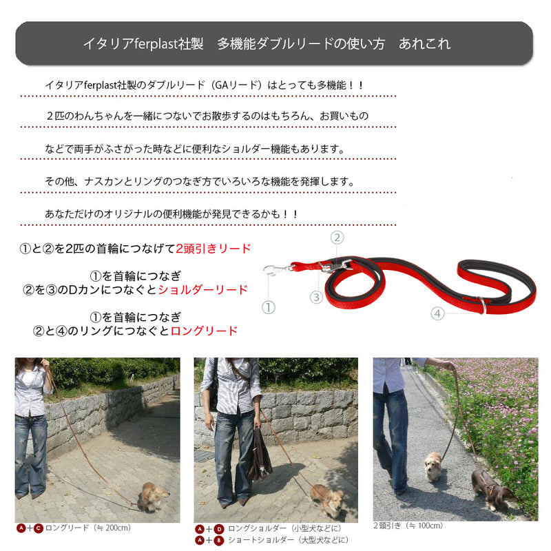 デイトナ DAYTONA GA 2サイズ展開 リード  散歩用品