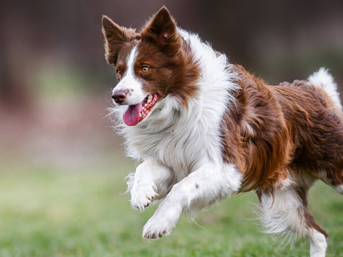 メリット02の写真