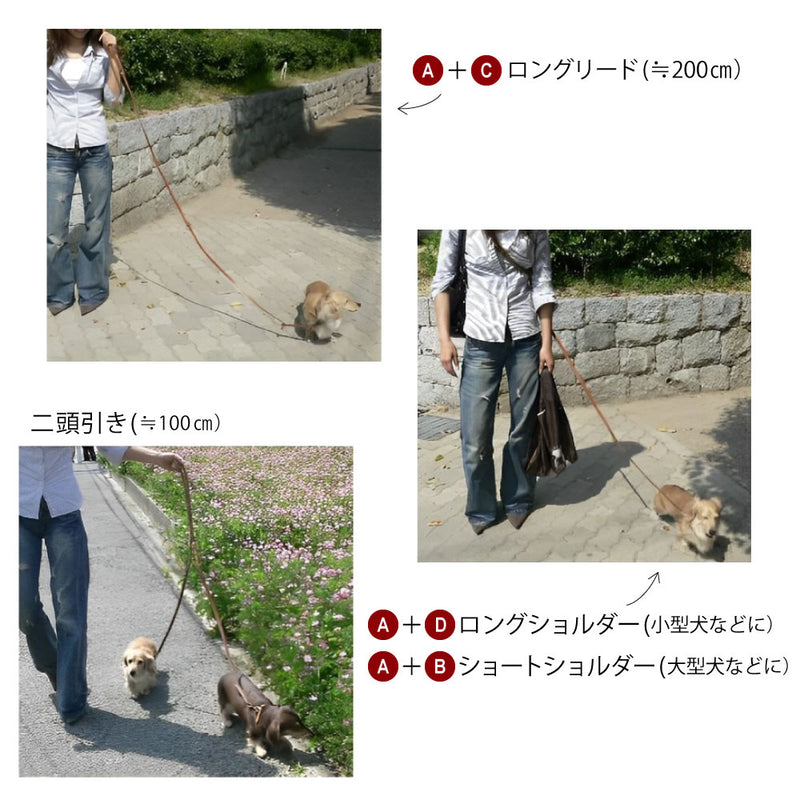 ロングリード2頭引き Natural GA ナチュラルGA 革 3サイズ