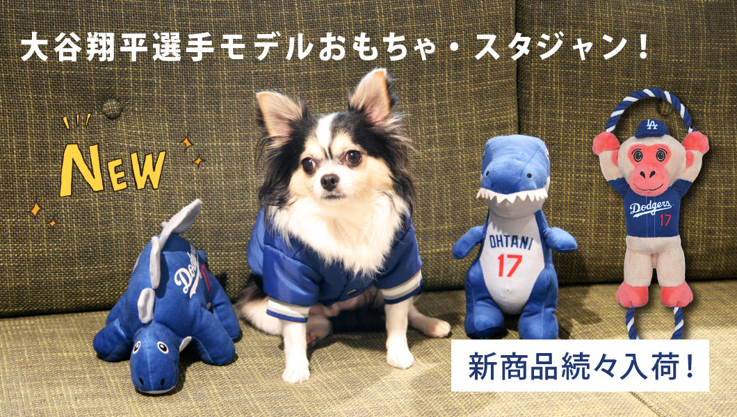 https://www.fanta-shop.jp/collections/newitem