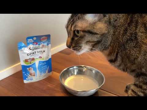 シグネチャー7 キャット ゴートミルク バラエティパック 4種×3コ