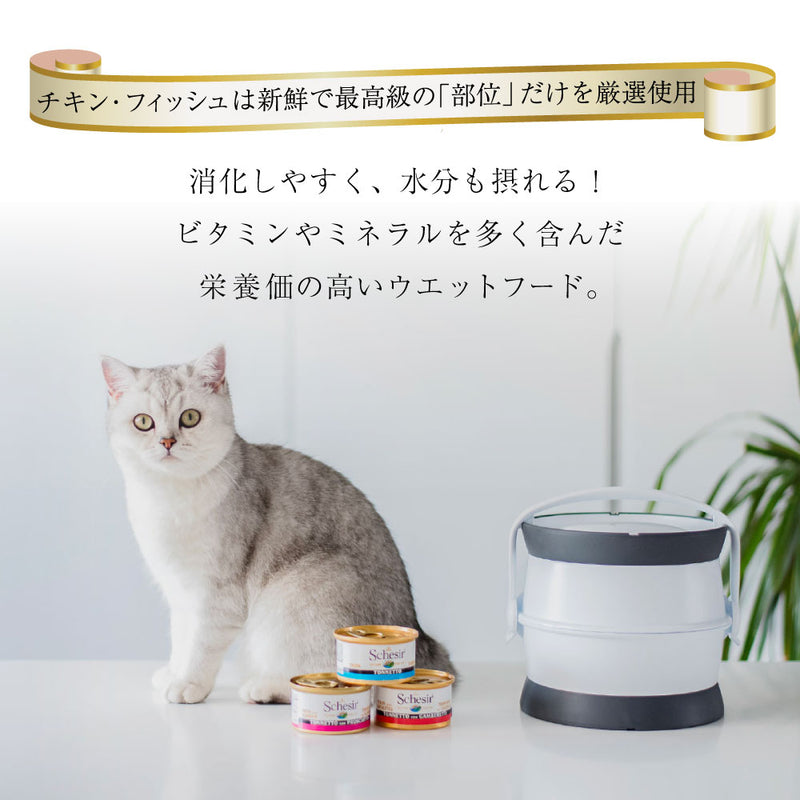 キャット ウェットフード 50g×6個パック シシア 選べる3種類