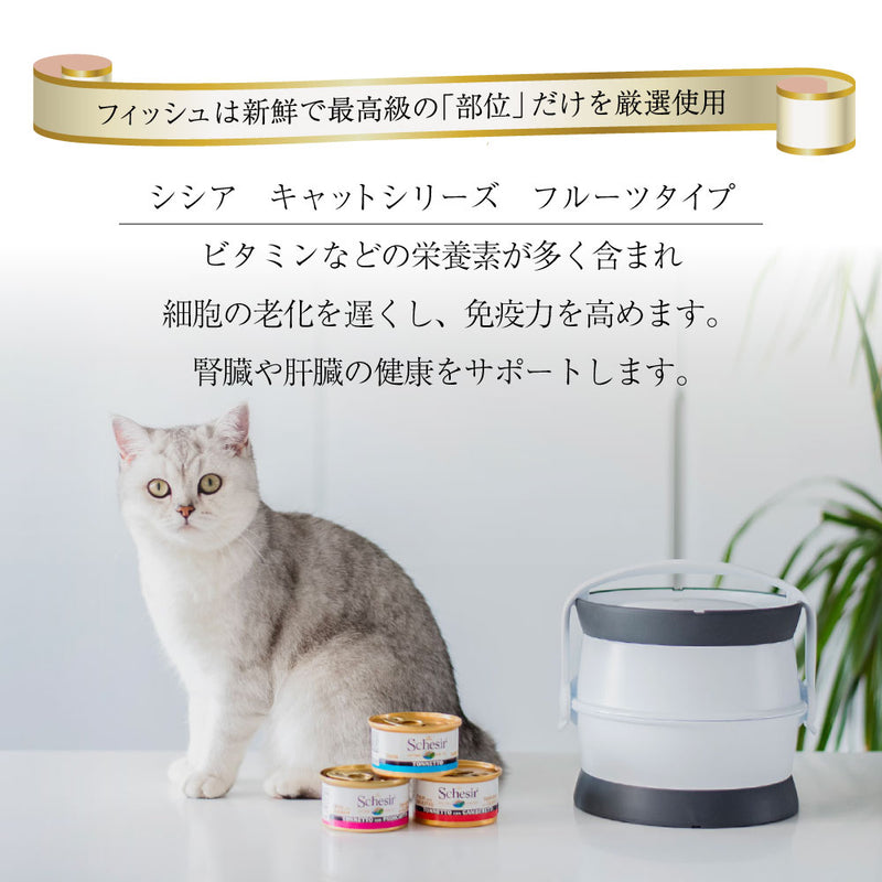 キャット フルーツ ウェットフード 75g シシア 選べる3種類