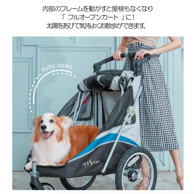 3輪バギー JetPro 大型