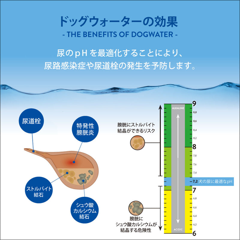 ドッグ ウォーター 500ml/4L DOG WATER