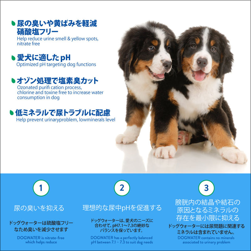 ドッグ ウォーター 500ml/4L DOG WATER
