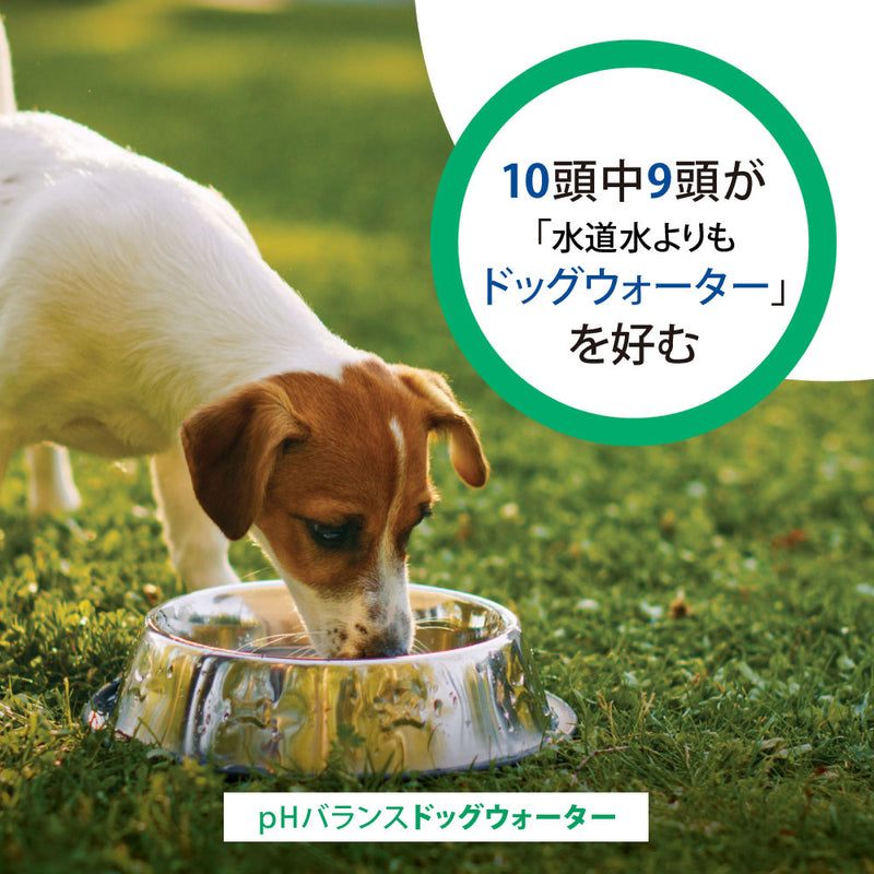 ドッグ ウォーター 500ml/4L DOG WATER