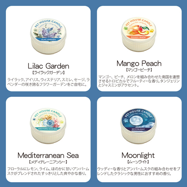 数量限定 セール  キャンドル S ソイワックス 消臭