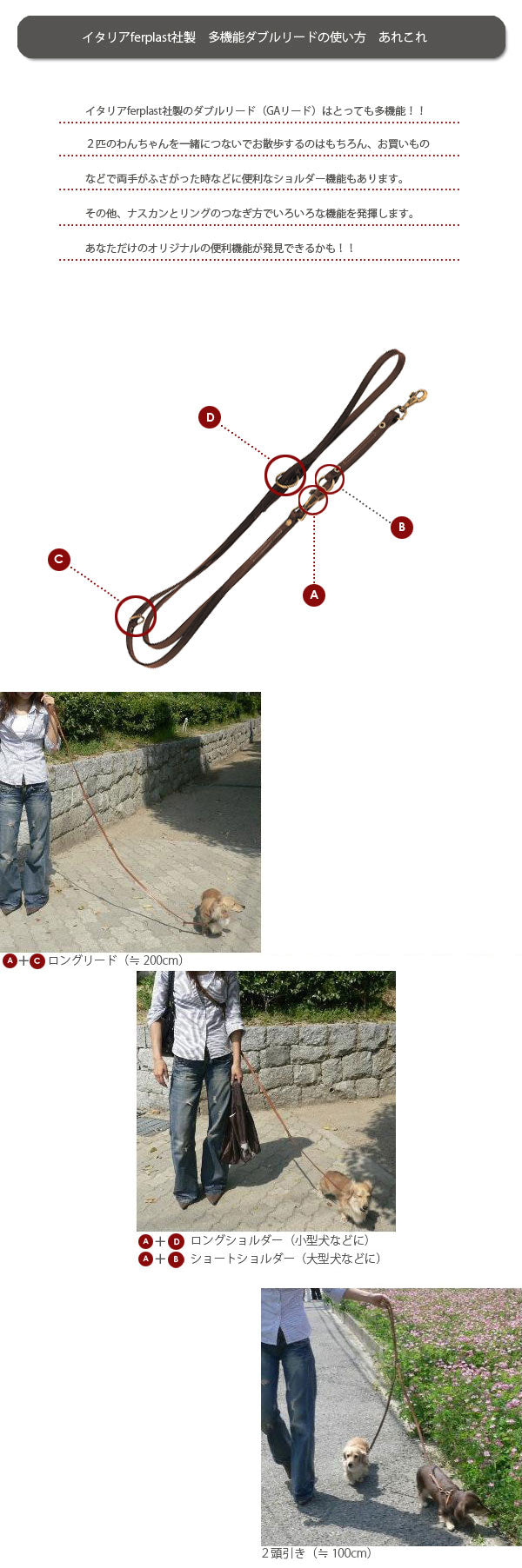 犬具 VIP GA ロングリード2頭引き 本格ブルレザー使用革 3サイズ展開