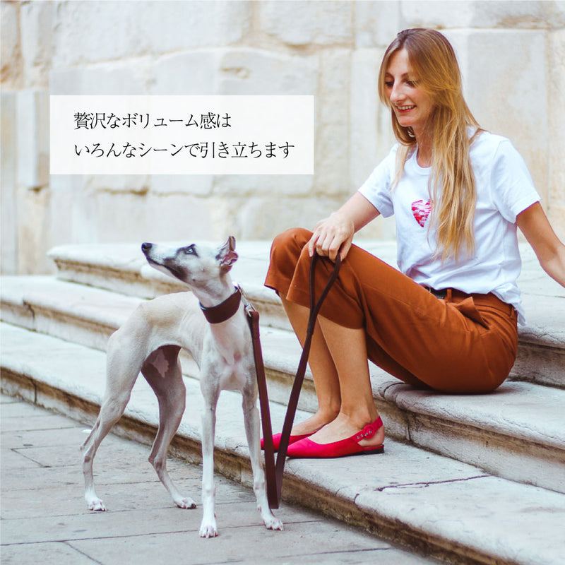 犬具 VIP G リード 本格ブルレザー 革