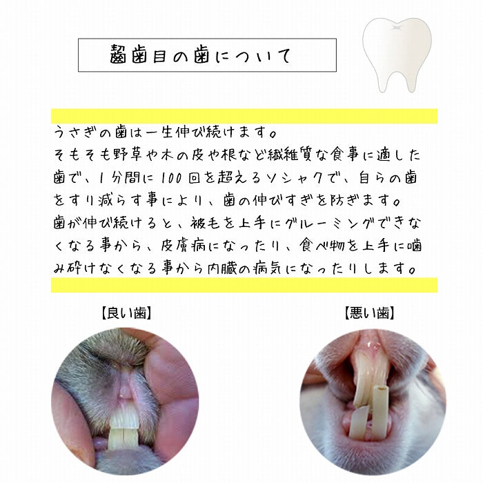 コーンスターチベースのチューイングトイ 小動物用 おもちゃ グッドバイト