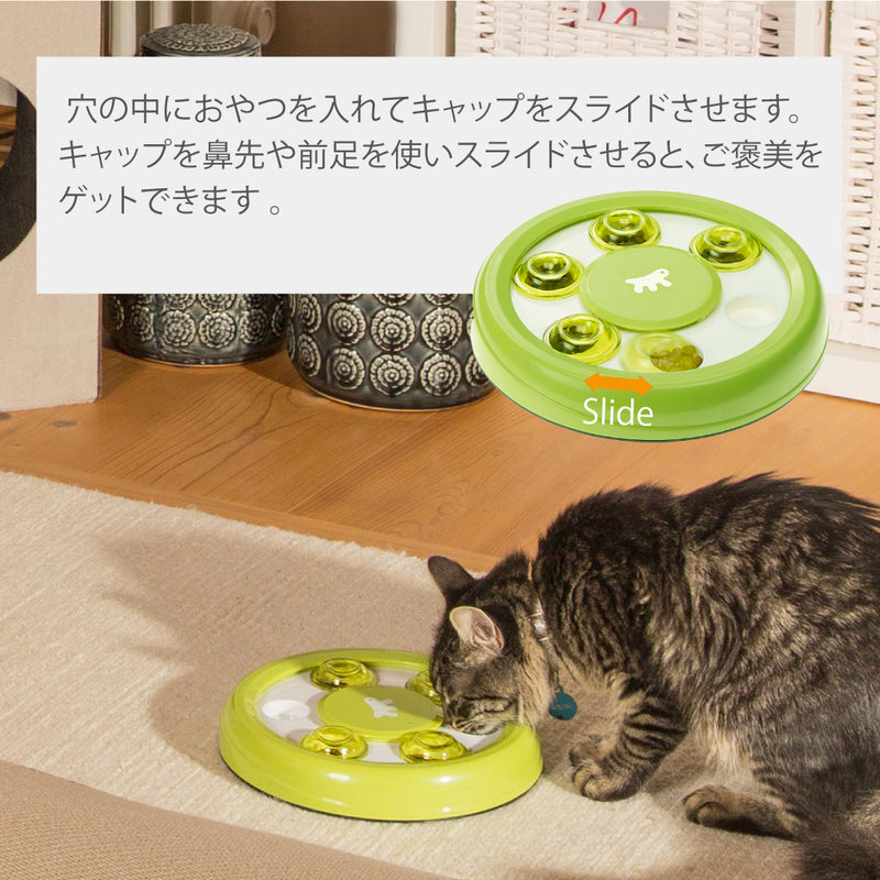 知育トイ DISCOVER ディスカバー おもちゃ 犬 猫
