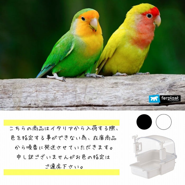 ストレス発散小鳥用 中型鳥 水浴び容器 バードバス RIO 2 BIRD BATH