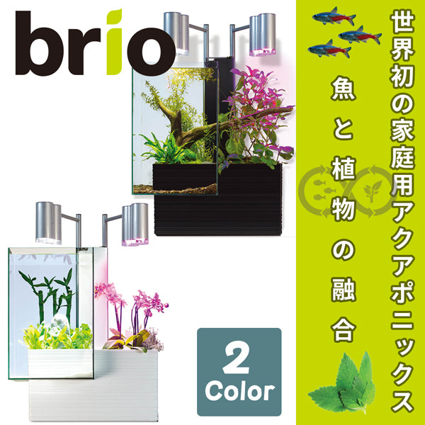 まだまだ利用して頂けます都内の方優先】 brio35 アクアポニックス　ハイドロと水温計とヒーター付属