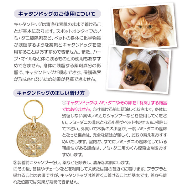 CatanDog&
