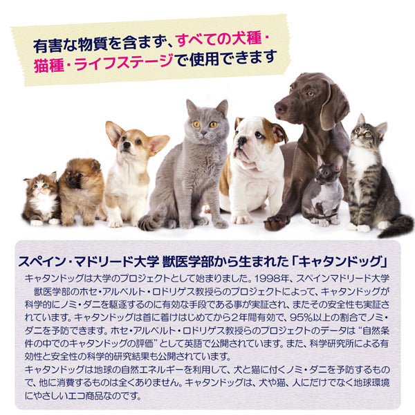 CatanDog&