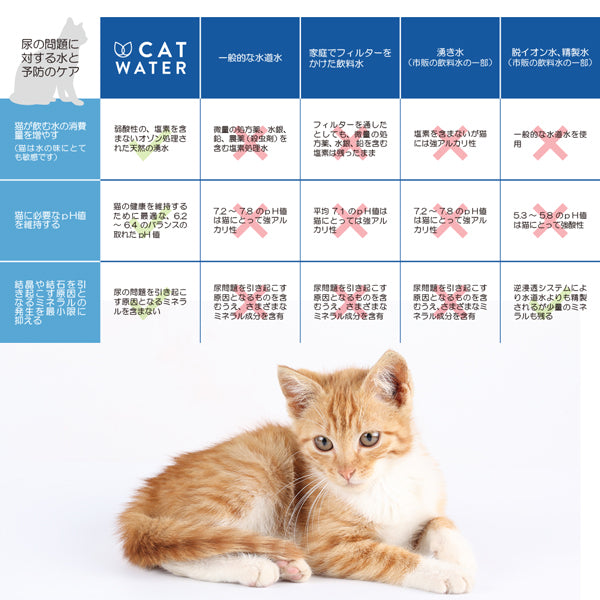 PH バランス キャットウォーター 500ml/4L CAT WATER