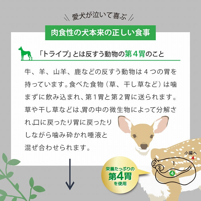 ビーフ&サーモン&グリーントライプ ドッグフード ドライ ESSENCE