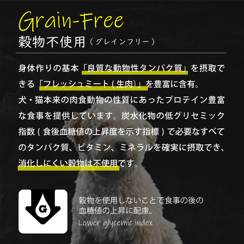 穀物不使用 グレインフリーフィッシュ ドッグフード 粒がリニューアル!