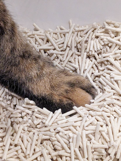 猫ちゃんのトイレ事情について知ろう！秒で固まる・臭いを制御・トイレに流せる猫砂!!　