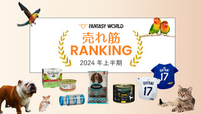 2024年上半期ファンタジーワールド売れ筋ランキング！