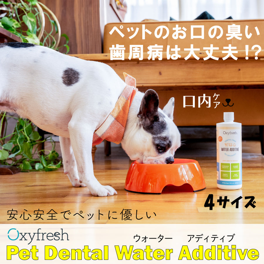 アニマルウォーター2 デンタルケアAnimalwaterⅡ アニマル