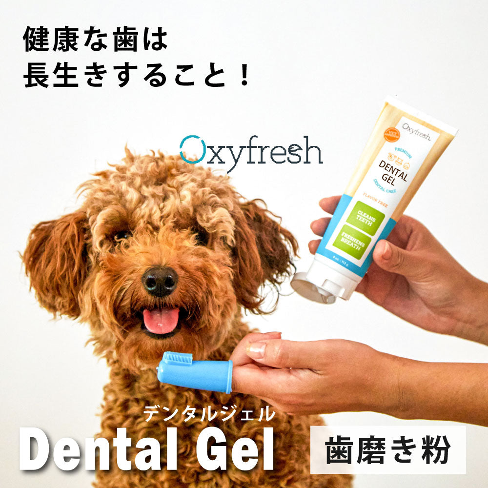 Freshel パーフェクトジェル　本体　つけかえ用 4個セット Freshel パーフェクトジェル EX 80g 本体 つけかえ用 4個セット