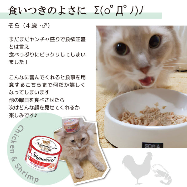 さば＆かぼちゃ 70g 月 ネコ 猫 総合栄養食 グレインフリー グレイビー