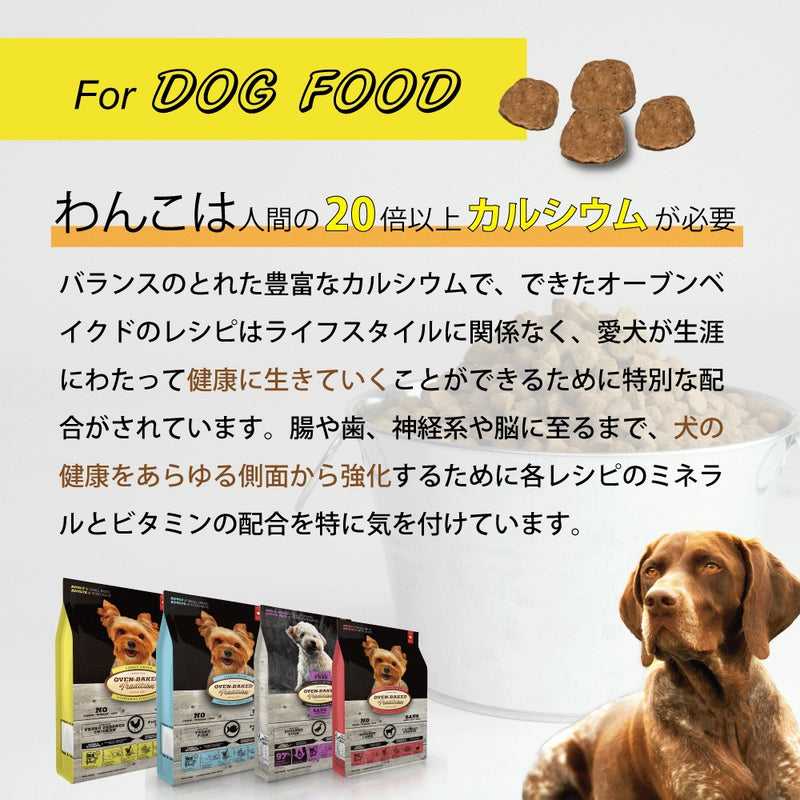 アダルトフィッシュ ドッグフード 粒がリニューアル！