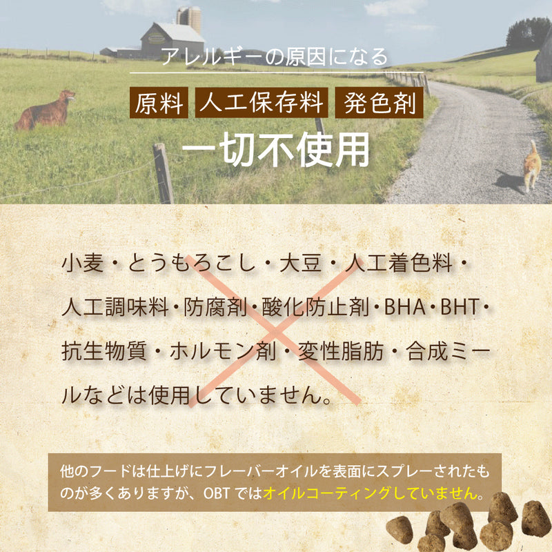 【期限切迫特価商品あり】オーブンベークド　グレインフリー フィッシュ キャットフード