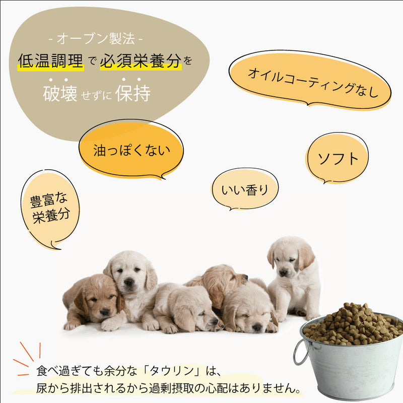 【期限切迫特価商品あり】オーブンベークド　グレインフリー フィッシュ キャットフード