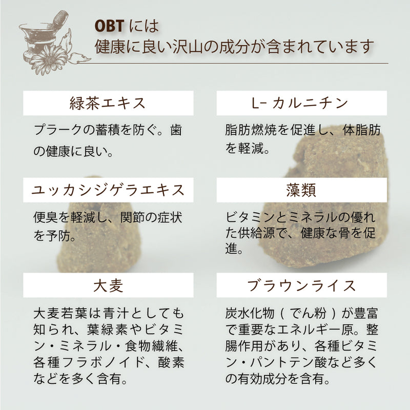 【期限切迫特価商品あり】オーブンベークド　グレインフリー フィッシュ キャットフード