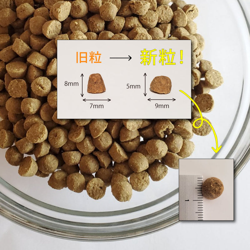 【期限切迫特価商品あり】オーブンベークド　グレインフリー フィッシュ キャットフード