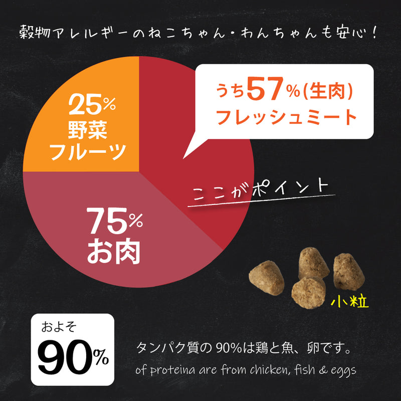 【期限切迫特価商品あり】オーブンベークド　グレインフリー フィッシュ キャットフード