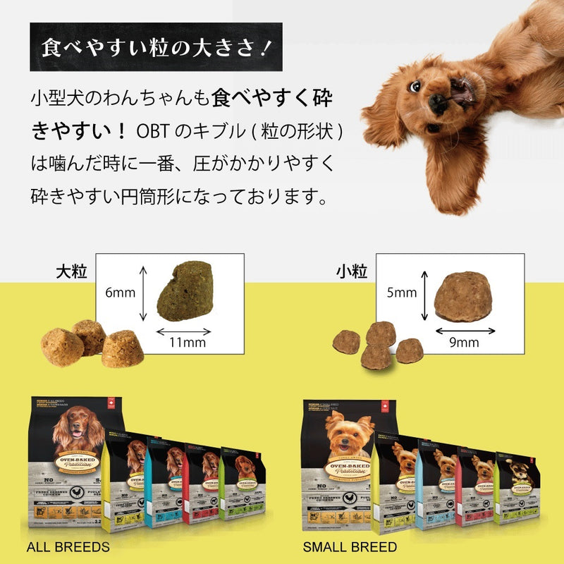 穀物不使用 グレインフリーフィッシュ ドッグフード　粒がリニューアル！