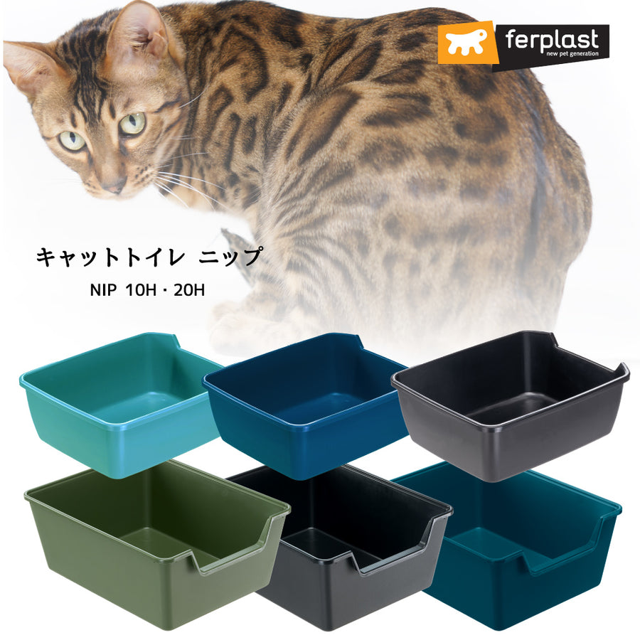 猫：トイレ – ファンタジーワールド [FANTASY WORLD]