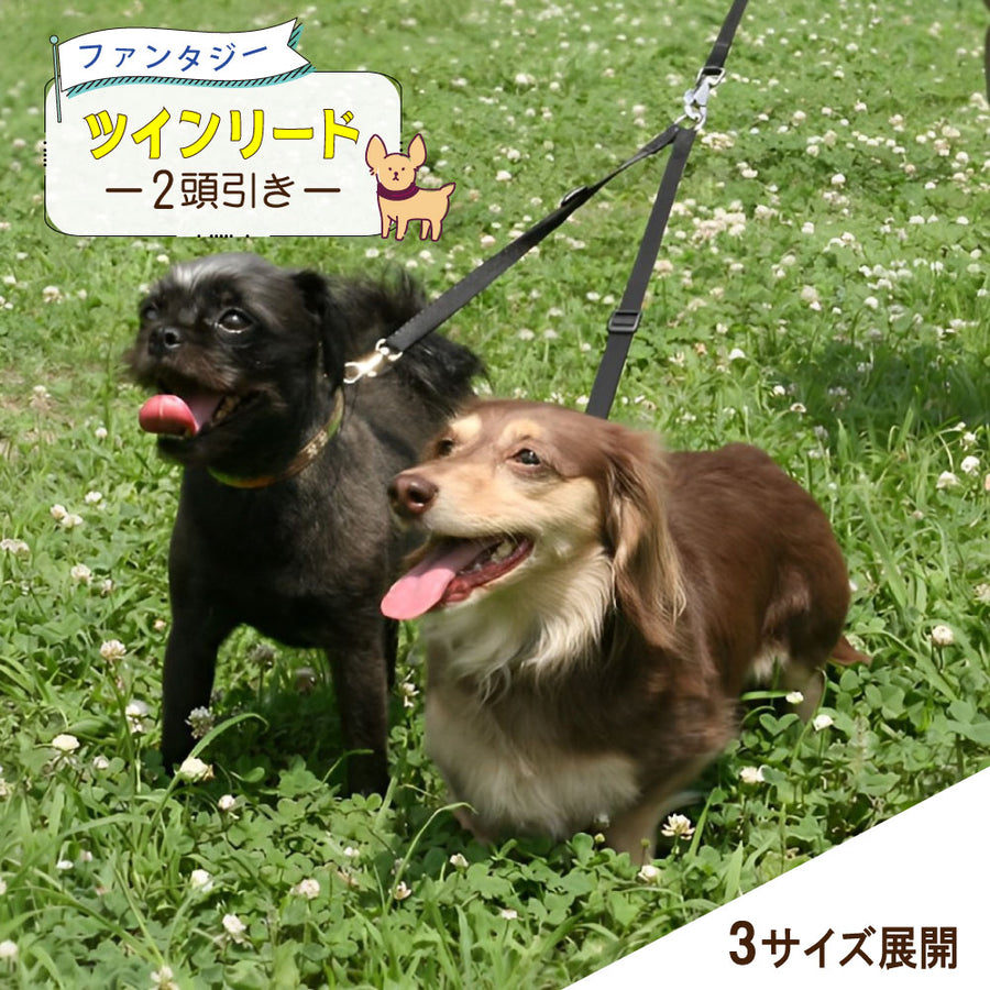 多頭飼いに便利！2頭引きアイテム ファンタジー ツインリード 3