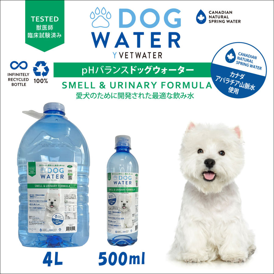 犬のおやつ餌詰め合わせ大特価♡送料無料♡2 犬のおやつ餌詰め合わせ大特価♡送料無料♡1 - メルカリ