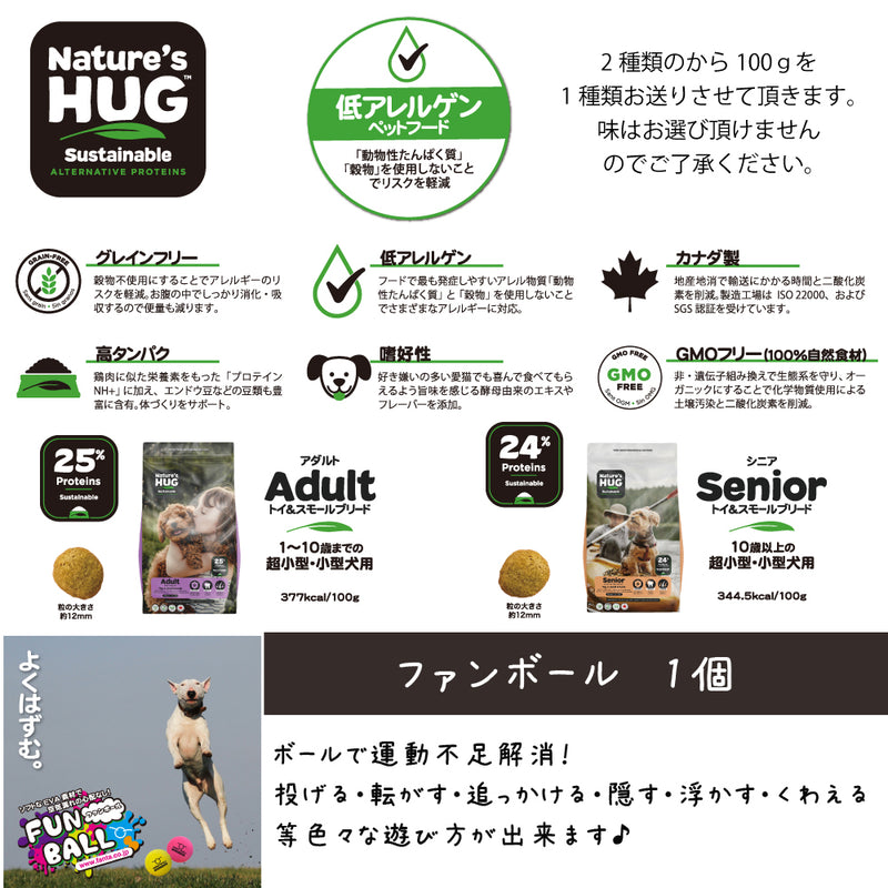 2025年 夏【福袋】 犬 3300円 数量限定セール サマーボックス