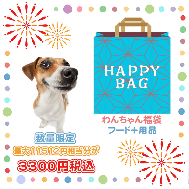 2025年 夏【福袋】 犬 3300円 数量限定セール サマーボックス