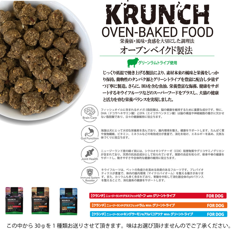 2025年 夏【福袋】 犬 3300円 数量限定セール サマーボックス